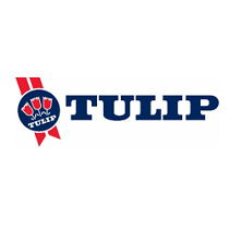 tulip